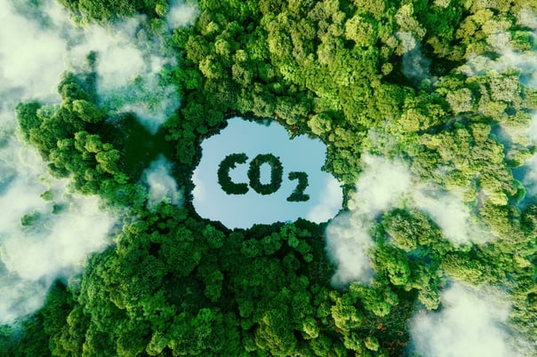 Luftaufnahme eines dichten grünen Waldes mit einer Lichtung in Form eines Sees, in dem das Symbol 'CO₂' aus Pflanzen geformt ist. Nebelschwaden ziehen durch die Bäume, was die Atmosphäre des Bildes verstärkt. Symbolisiert den Zusammenhang zwischen Kohlenstoffemissionen und der Umwelt.