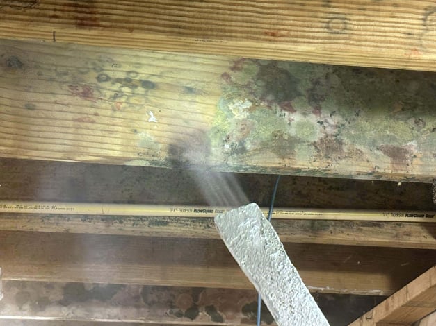 Schimmelentfernung mit Trockeneis